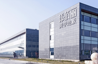 點(diǎn)擊查看添佰麗地板案例